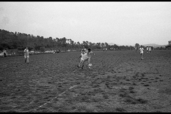 img019